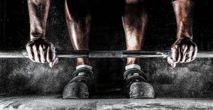 Lee más sobre el artículo Praesent libro se cursus ante